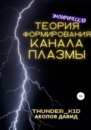 Обложка книги «Эмпирическая теория формирования канала плазмы» — Давид Акопов