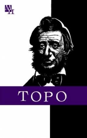 Обложка книги «Генри Торо» — Никита Покровский