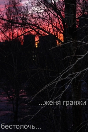 Обложка книги «Бестолочь» — Женя Гранжи