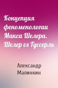 Концепция феноменологии Макса Шелера. Шелер vs Гуссерль