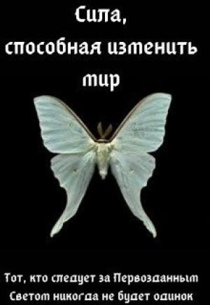 Обложка книги «Сила, способная изменить мир: Вера» — Элиза Полуночная