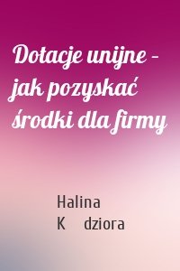 Dotacje unijne – jak pozyskać środki dla firmy