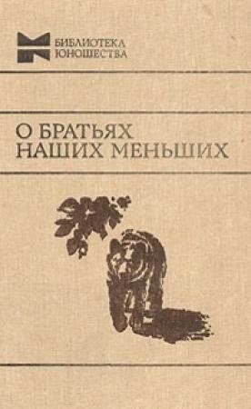 Обложка книги «Последняя ночь Бандита» — Виктор Конецкий