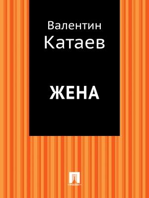 Обложка книги «Жена» — Валентин Катаев