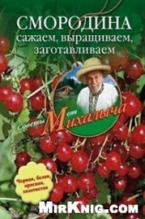 Обложка книги «Смородина. Сажаем, выращиваем, заготавливаем» — Николай Звонарев