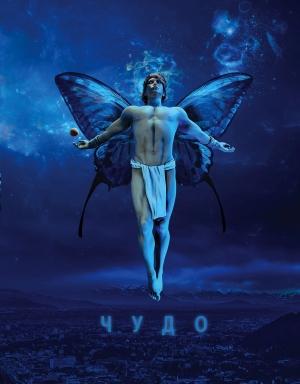 Обложка книги «Чудо» — Владимир Алексеев
