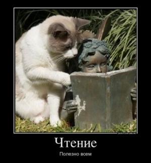 Обложка книги «Книга 3.0 Слушайте!» — BolgarchukR
