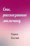 Павел Настин - Сны, рассказанные мальчику