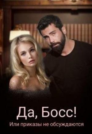 Обложка книги «Да, Босс! или приказы не обсуждаю» — Али Кис