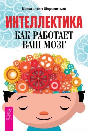 Обложка книги «Интеллектика» — Константин Шереметьев