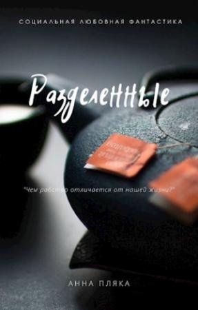 Обложка книги «Разделенные» — Анна Пляка