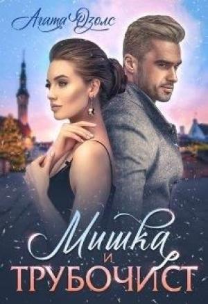 Обложка книги «Мишка и Трубочист» — Агата Озолс