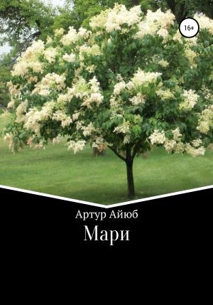 Обложка книги «Мари» — Артур Айюб