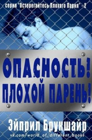 Обложка книги «Опасность! Плохой парень! (ЛП)» — Эйприл Брукшайр