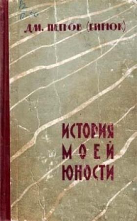 Обложка книги «История моей юности» — Дмитрий Петров-Бирюк