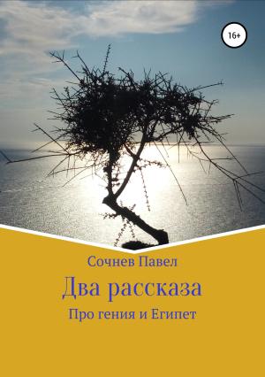 Обложка книги «Два рассказа» — Павел Сочнев