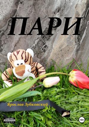 Обложка книги «Пари» — Ярослав Зубковский