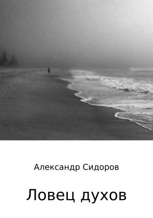 Обложка книги «Ловец духов» — Александр Сидоров
