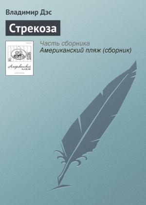 Обложка книги «Стрекоза» — Владимир Дэс