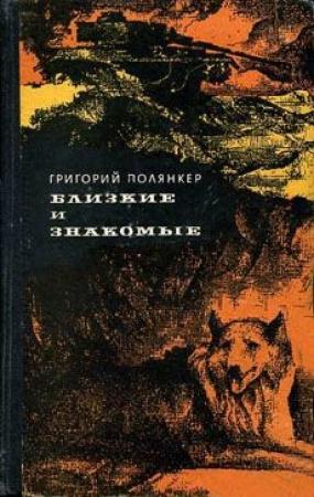 Обложка книги «Городской сумасшедший» — Григорий Полянкер