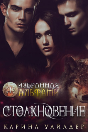 Обложка книги «Столкновение» — Карина Уайлдер