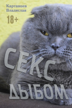 Обложка книги «Секс дыбом» — Владислав Картавцев