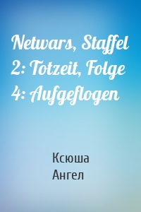 Netwars, Staffel 2: Totzeit, Folge 4: Aufgeflogen