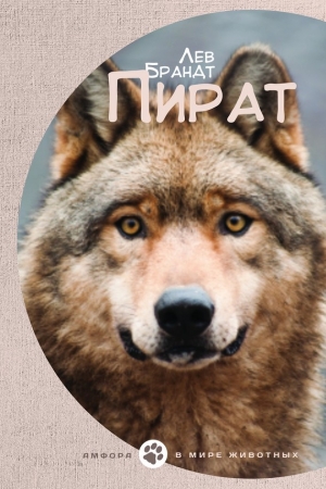 Обложка книги «Пират» — Лев Брандт