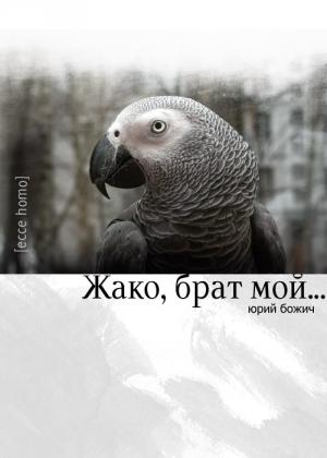 Обложка книги «Жако, брат мой...» — Юрий Божич