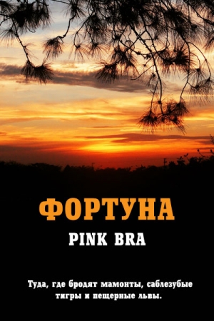 Обложка книги «Фортуна (самиздат)» — Pink Bra