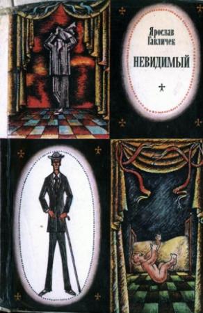 Обложка книги «Невидимый» — Ярослав Гавличек
