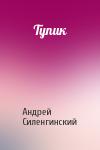 Андрей Силенгинский - Тупик