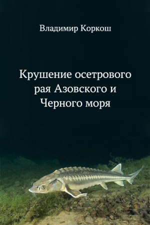 Обложка книги «Крушение осетрового рая Азовского и Черного моря» — Владимир Коркош