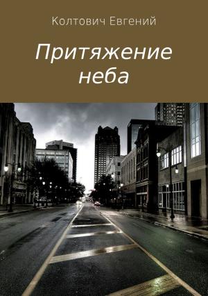 Обложка книги «Притяжение неба» — Евгений Колтович