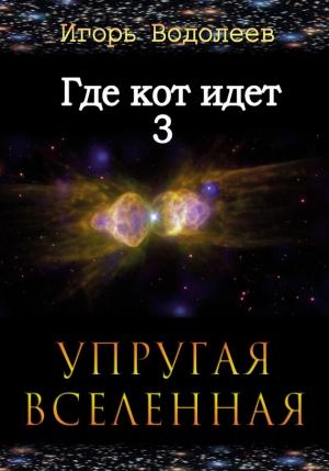 Обложка книги «Где кот идет 3. Упругая вселенная» — Игорь Водолеев