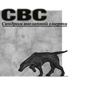 Обложка книги «СВС (Синдром Внезапной Смерти)» — Бабулин Леонидович