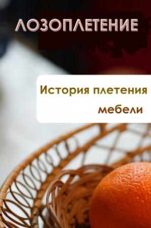 Обложка книги «История плетения мебели» — Илья Мельников