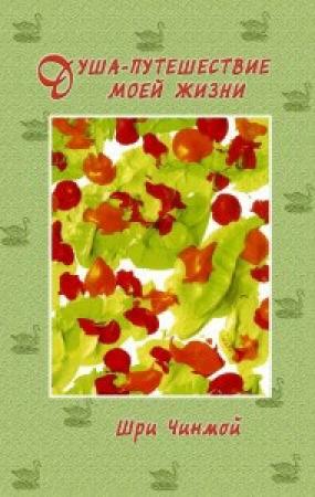 Обложка книги «Шри Чинмой. Душа-путешествие моей жизни» — Шри Чинмой