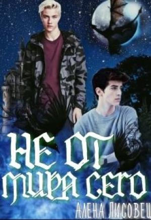 Обложка книги «Не от мира сего» — Алёна Лис