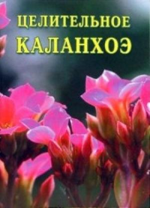 Обложка книги «Целительное каланхоэ» — Иван Дубровин