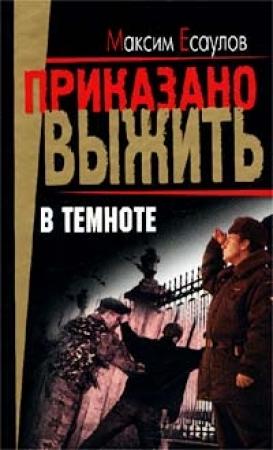 Обложка книги «В темноте (сборник)» — Максим Есаулов