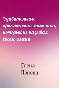 Елена Попова - Удивительные приключения мальчика, который не называл своего имени