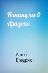 Аннетт Бродрик - Каникулы в Аризоне