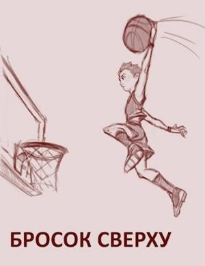 Обложка книги «Бросок сверху» — Disha