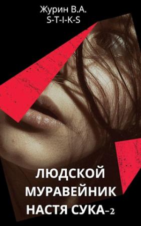 Обложка книги «Настя Сука 2» — Владимир Журин