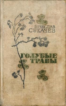 Обложка книги «Повесть о любви» — Вячеслав Сукачев