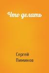 Сергей Пиминов - Что делать