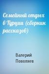 Валерий Поволяев - Семейный отдых в Турции (сборник рассказов)