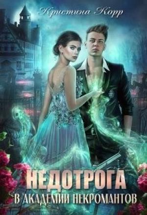 Обложка книги «Недотрога в академии некромантов» — Кристина Антановна Римшайте