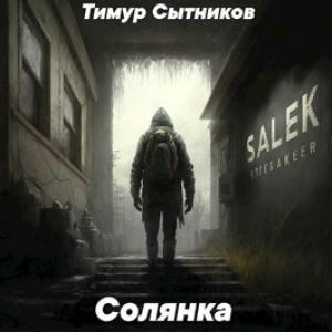 Обложка книги «Солянка» — Тимур Сытников